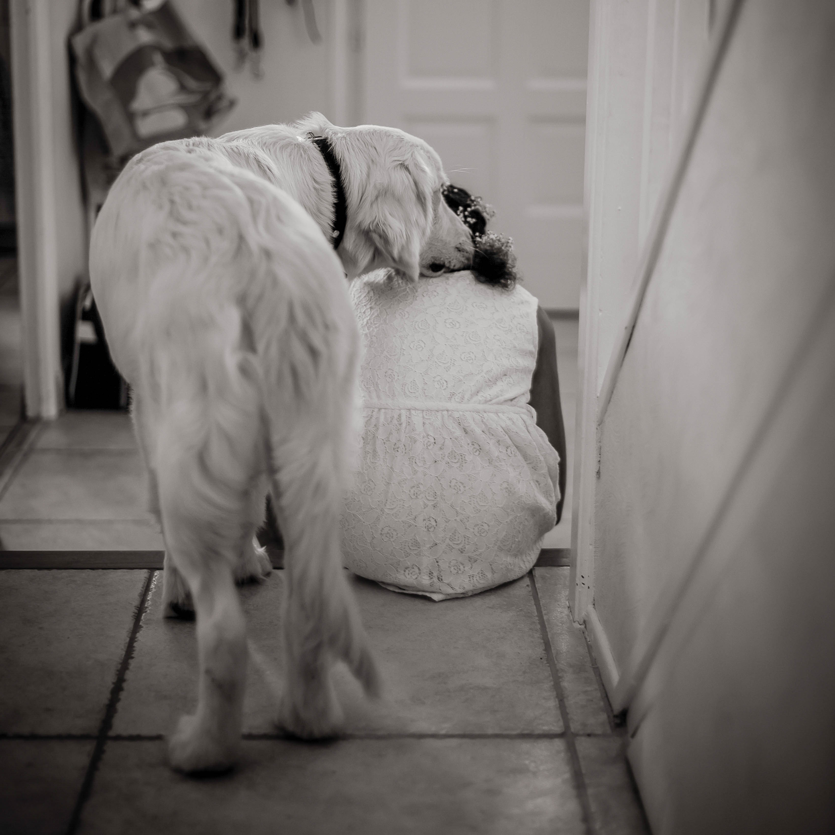 mariage-johana-anthony-toulouse-wedding-reportage